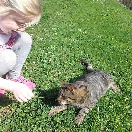 Oberbach * Strohmarkt