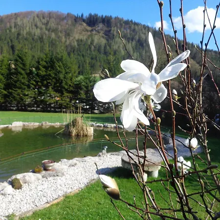 Casa de Férias Oberbach *