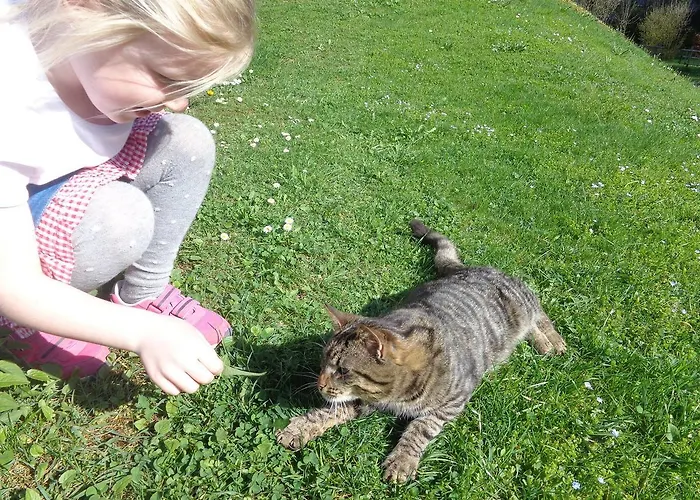 Oberbach * Strohmarkt
